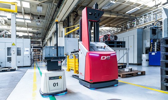 AMADEUS und SALLY Imagefoto | DS AUTOMOTION