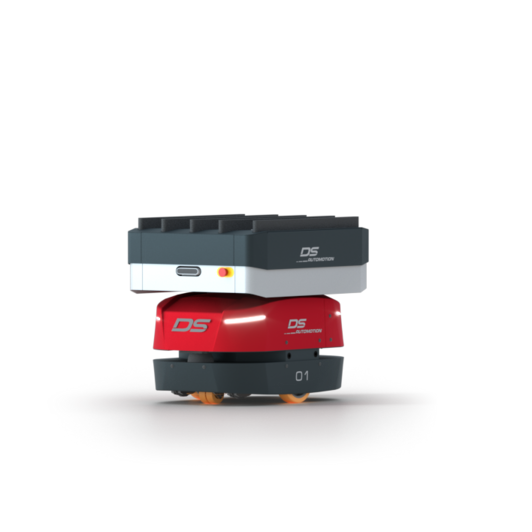 DS-Automotion_Amy_mit_Kammlamm_01